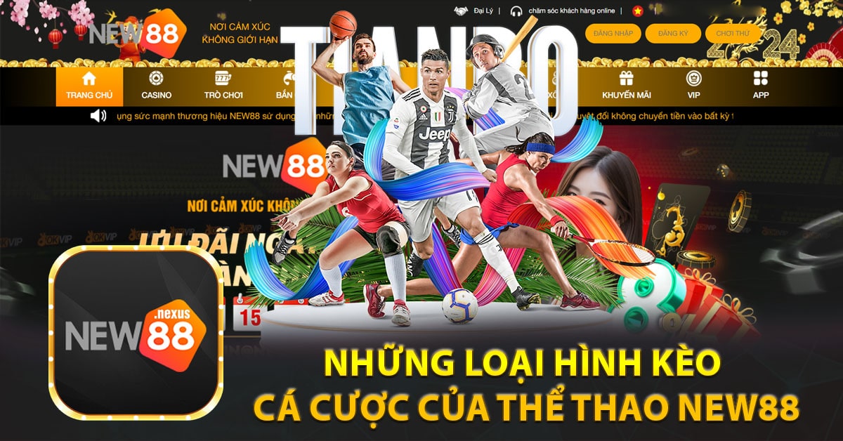 Những loại hình kèo cá cược của thể thao