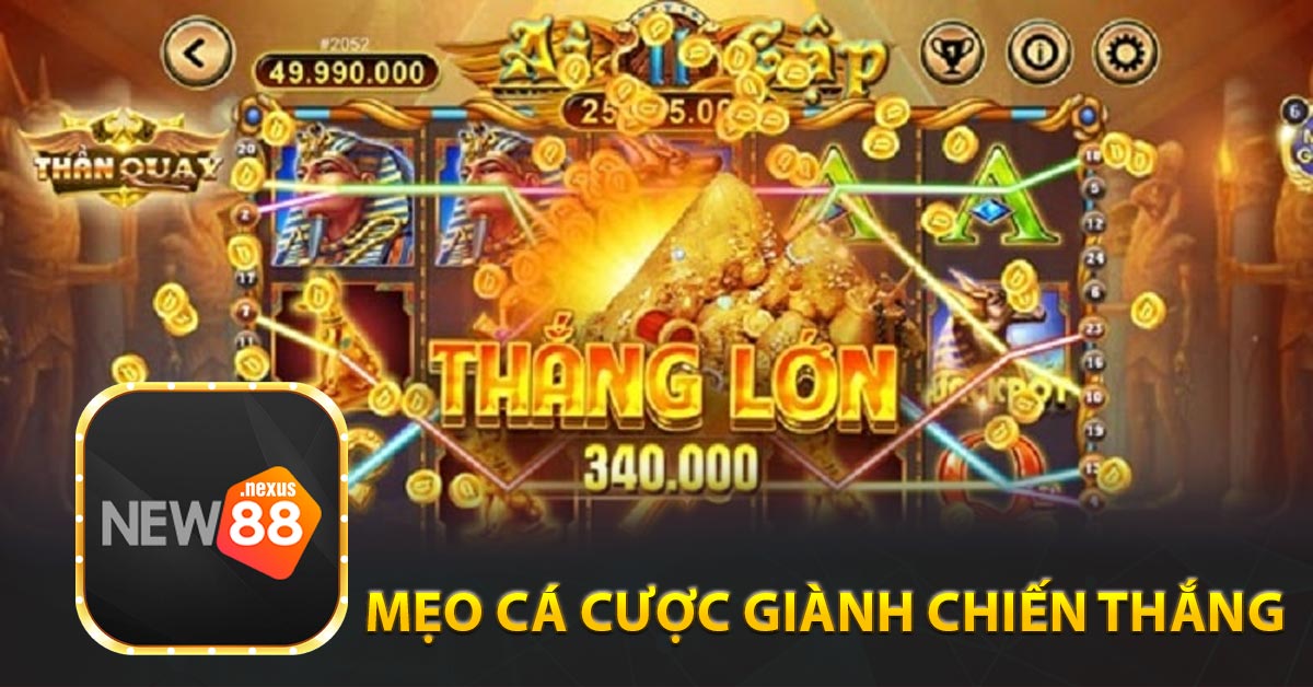 Mẹo cá cược giành chiến thắng