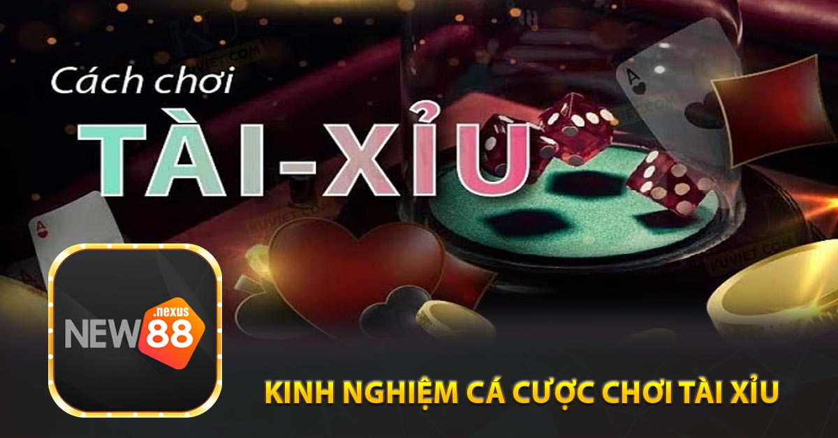 Kinh nghiệm cá cược chơi Tài Xỉu New88 hay nhất