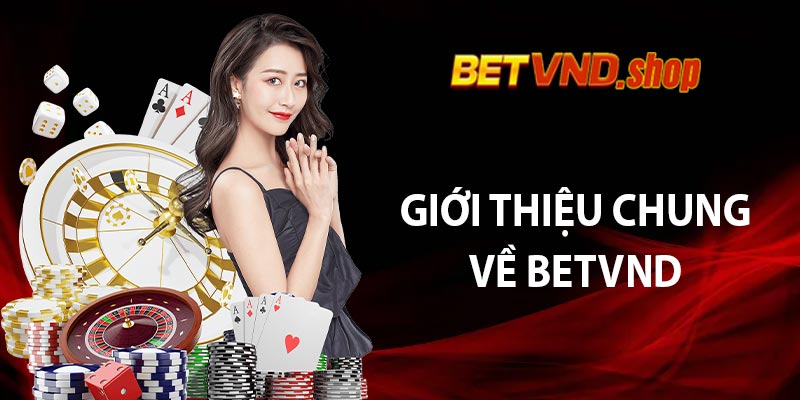 Giới Thiệu Chung Về Betvnd