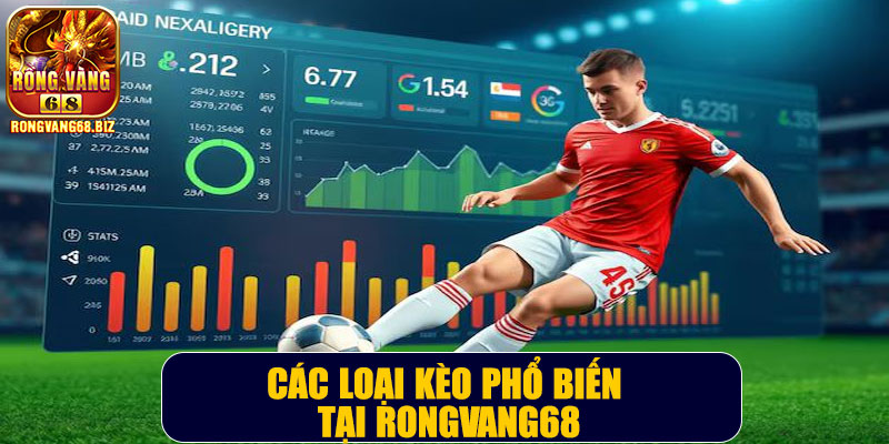 Các loại kèo phổ biến tại Rongvang68