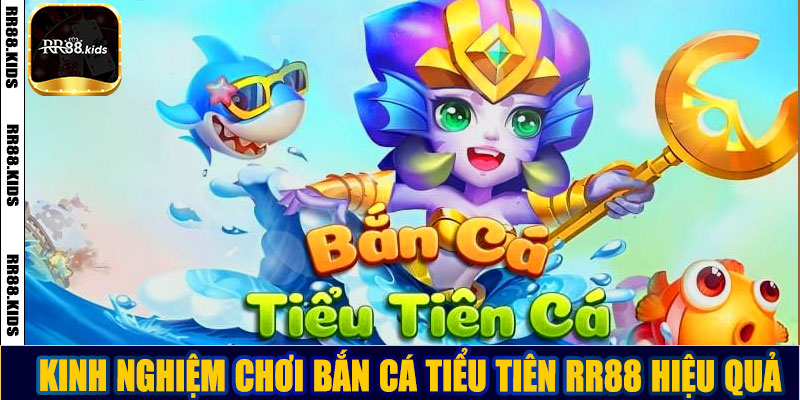 Kinh nghiệm chơi bắn cá tiểu tiên RR88 hiệu quả